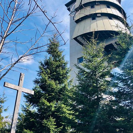 Strunzova Pila - Apartmany S Wellness 2,06 A 3,03 Kvilda Buitenkant foto